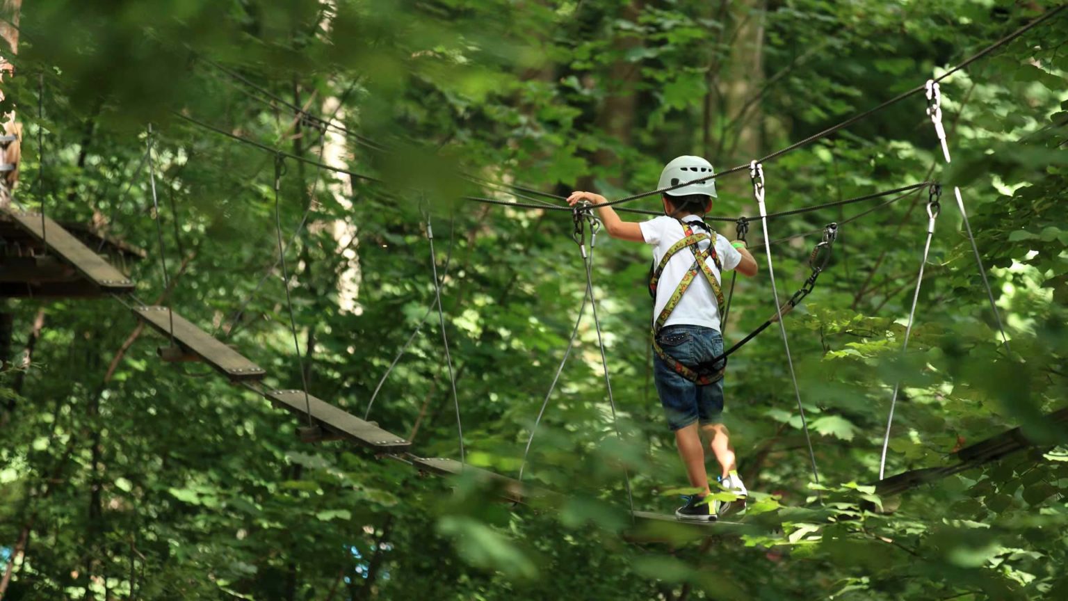 Parc Aventure Accro-tyro Accrobranche à Cordes Sur Ciel